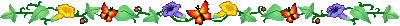 butterfly divider